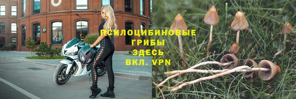 спиды Богородск